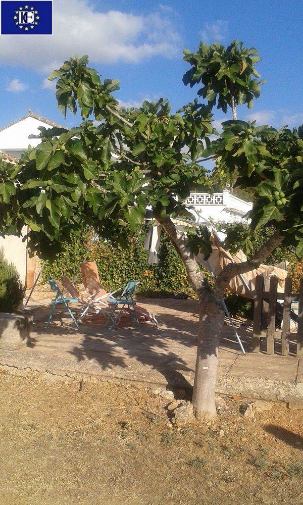 Mallorca - Legale Finca in Sencelles -DER Preis ist Heiss