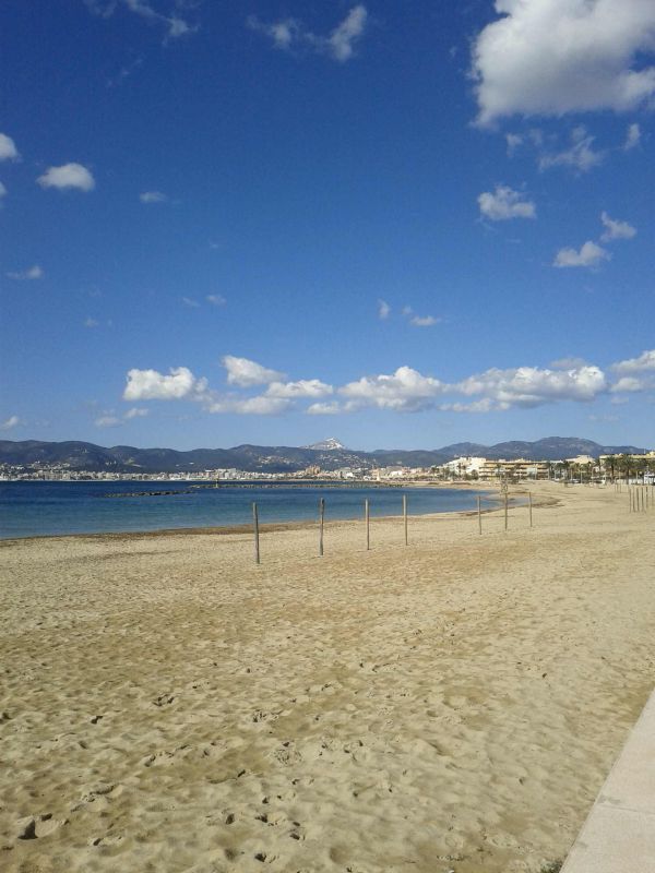 Palma de Mallorca: Penthause mit Meerblick.