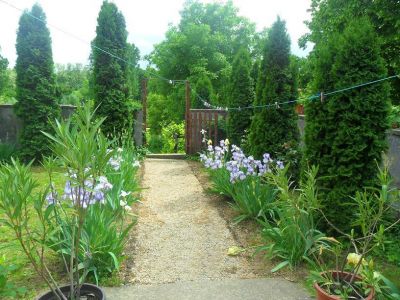 Existenzobjekt Ungarn Plattensee Region Nr.60/23                                       