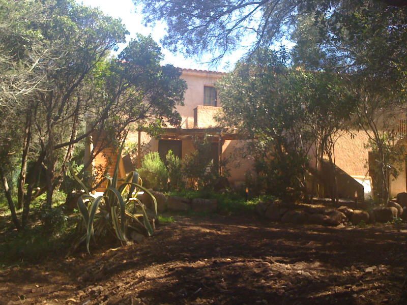 Korsika Ferienhaus, Last Minute im Frühjahr