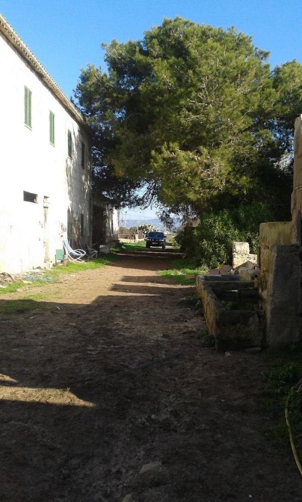 Mallorca - Arenal - Landhäuser und Finca