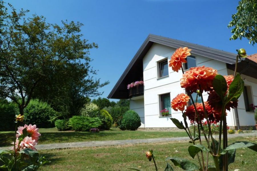  Grosszügige Villa in Slowenien