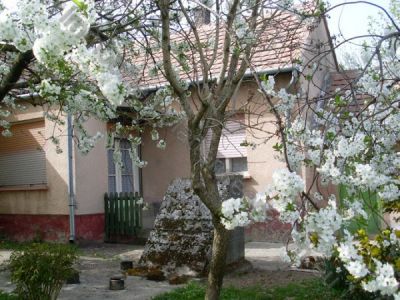 Traditionelles  Haus 37 km bis zum Balaton Nr. 20/31