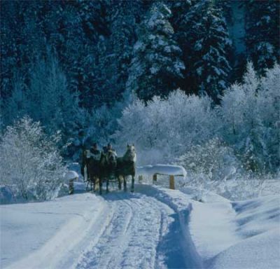SCHNEEKRISTALLWOCHEN 2013 HAUS FLORIAN TIROL