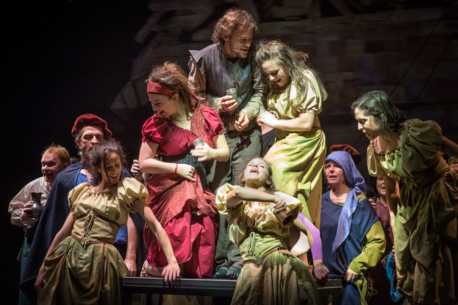 'Der Kaiser und die Gauklerin' - Das Mittelalter-Musical für Nürnberg