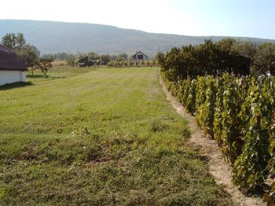 Baugrundstück sehr günstig Nähe Balaton Nr. 38