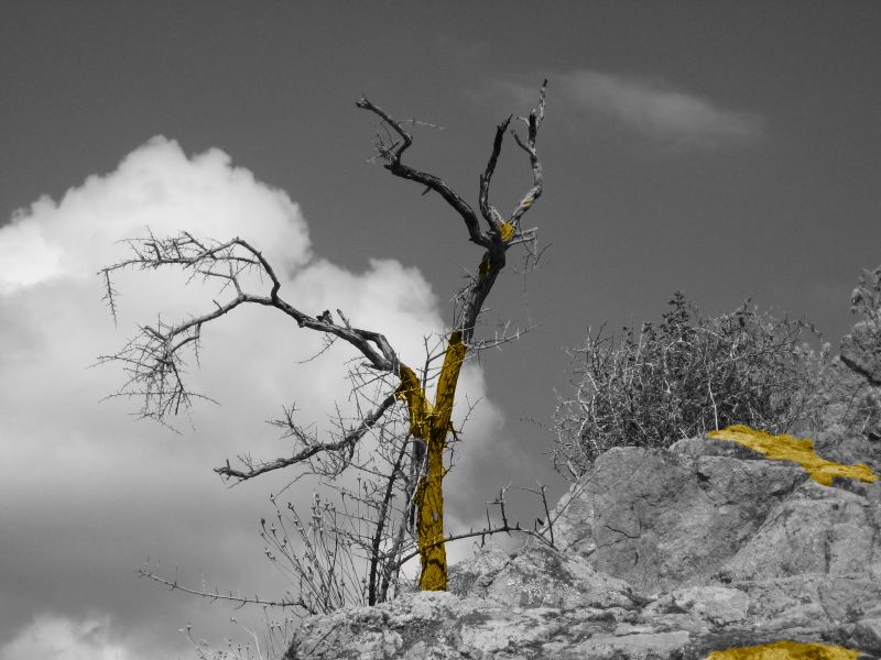 Foto (NEU) Silber-Rahmen (Holz) -- günstig - Top Preis - für die Wand 