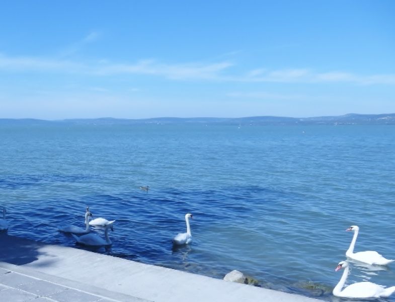 Ferienhaus am Plattensee / Urlaub Sonderaktion: im Juni für nur 40 € pro Tag inkl. bis 8 Personen