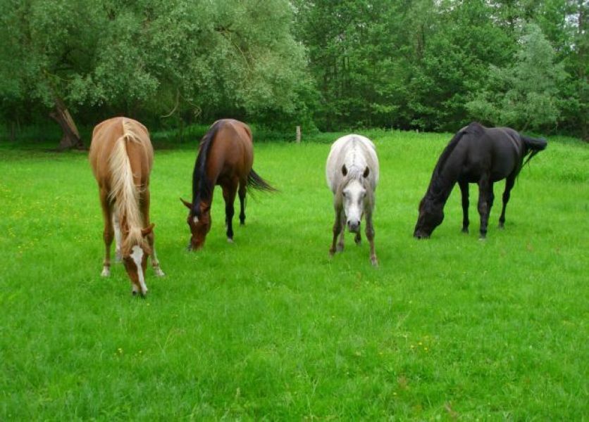 Baugrundstücke - im Norden