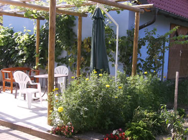 Ferien auf dem Grauburgunderhof im Kaiserstuhl