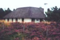 B L A A V A N D  --  Ferienhaus - Dänemark