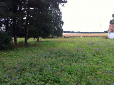 HORN-NÄHE - attraktiver Baugrund  ** 9 €/m² ** * PROVISIONSFREI *