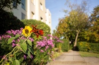 Standort - Betreutes Wohnen - Gewerbe - Rendite - Objekte