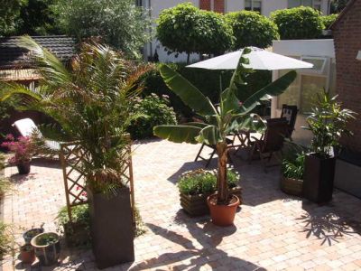 Ferienwohnung ZOUTELANDE Niederlande