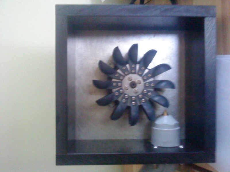 Aufbau diverser Account´s und Webshop