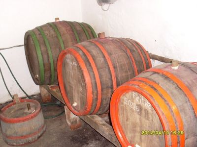 Immobilien Balaton Region Ungarn  Nr.40/23