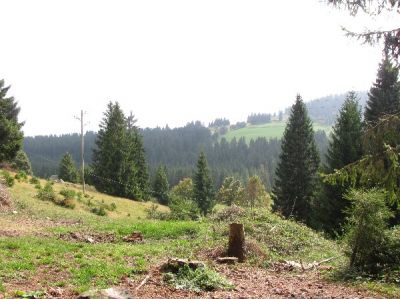 Ferien - Hütte im Südscharzwald (Schluchsee) zu vermieten