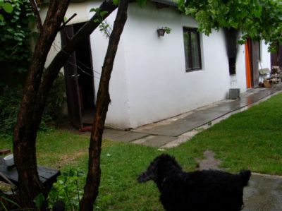 Bauernhaus Ungarn Plattensee Region Nr.60/02 