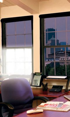 Folienrollos - Endlich ein transparentes Rollo, das in jeder Jahreszeit wirksam ist! 